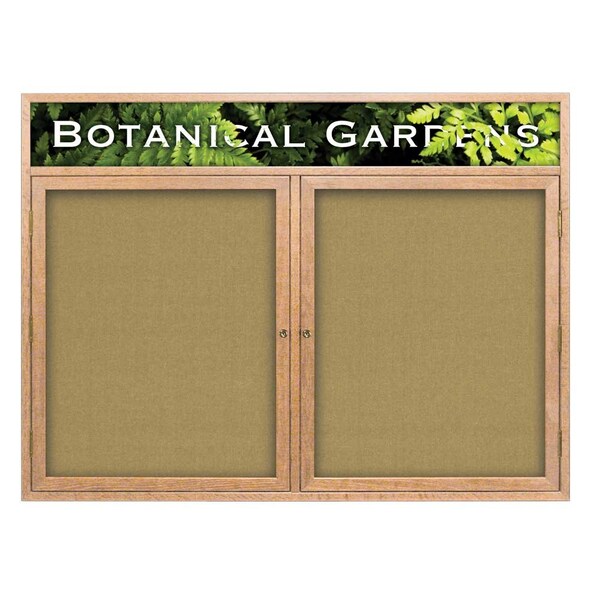 Open Faced Traditional Corkboard, 60x36"